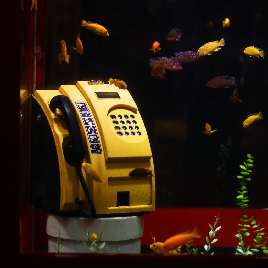 Yellow pay phone